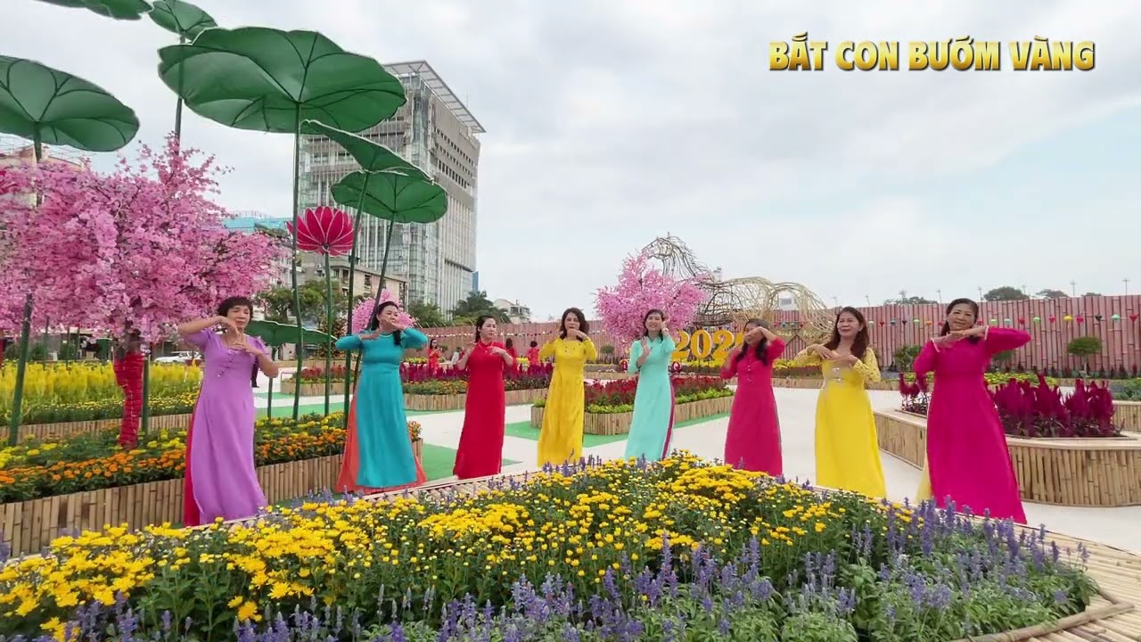 BẮT CON BƯỚM VÀNG | Sunny Team | Dance Cover