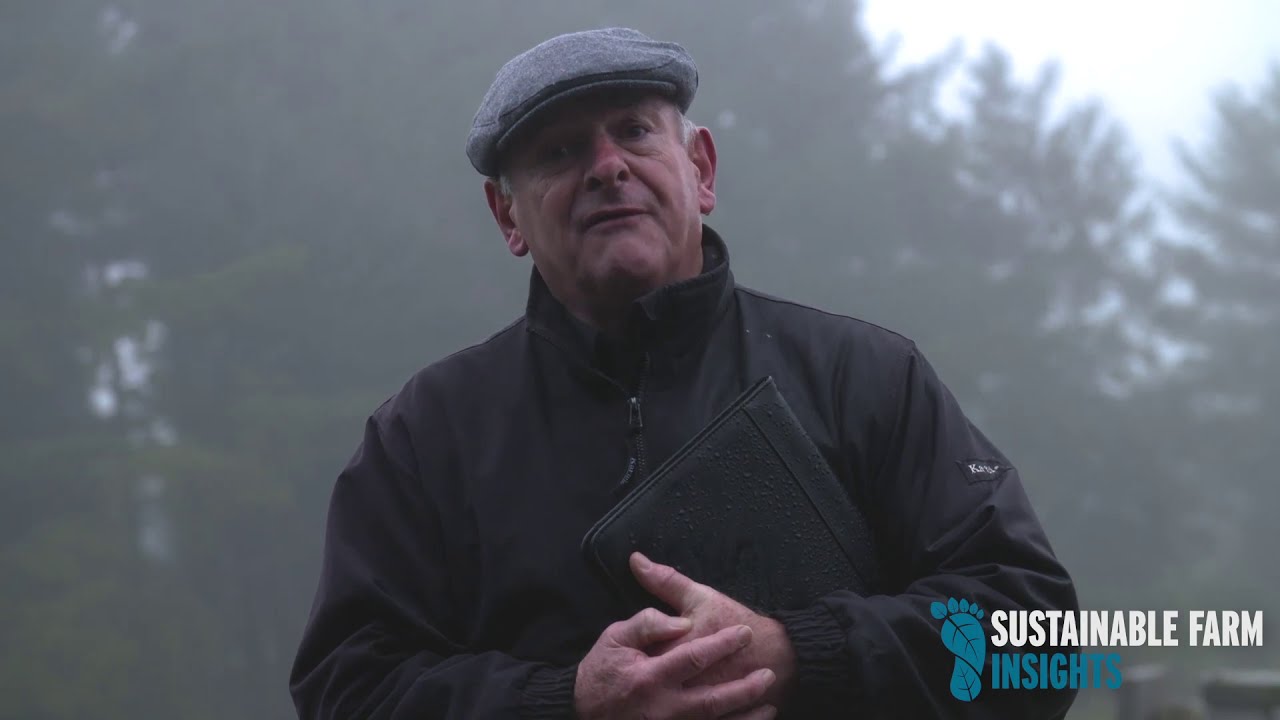 Sustainable Farm Insights E2: Biodiversity - Denis Large, Beef & Tillage Farmer, Tipperary