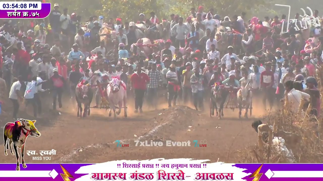 वल्लरी अजयशेठ फुलोरे बीड यांचा सिकंदर   बिनजोड चा मानकरी