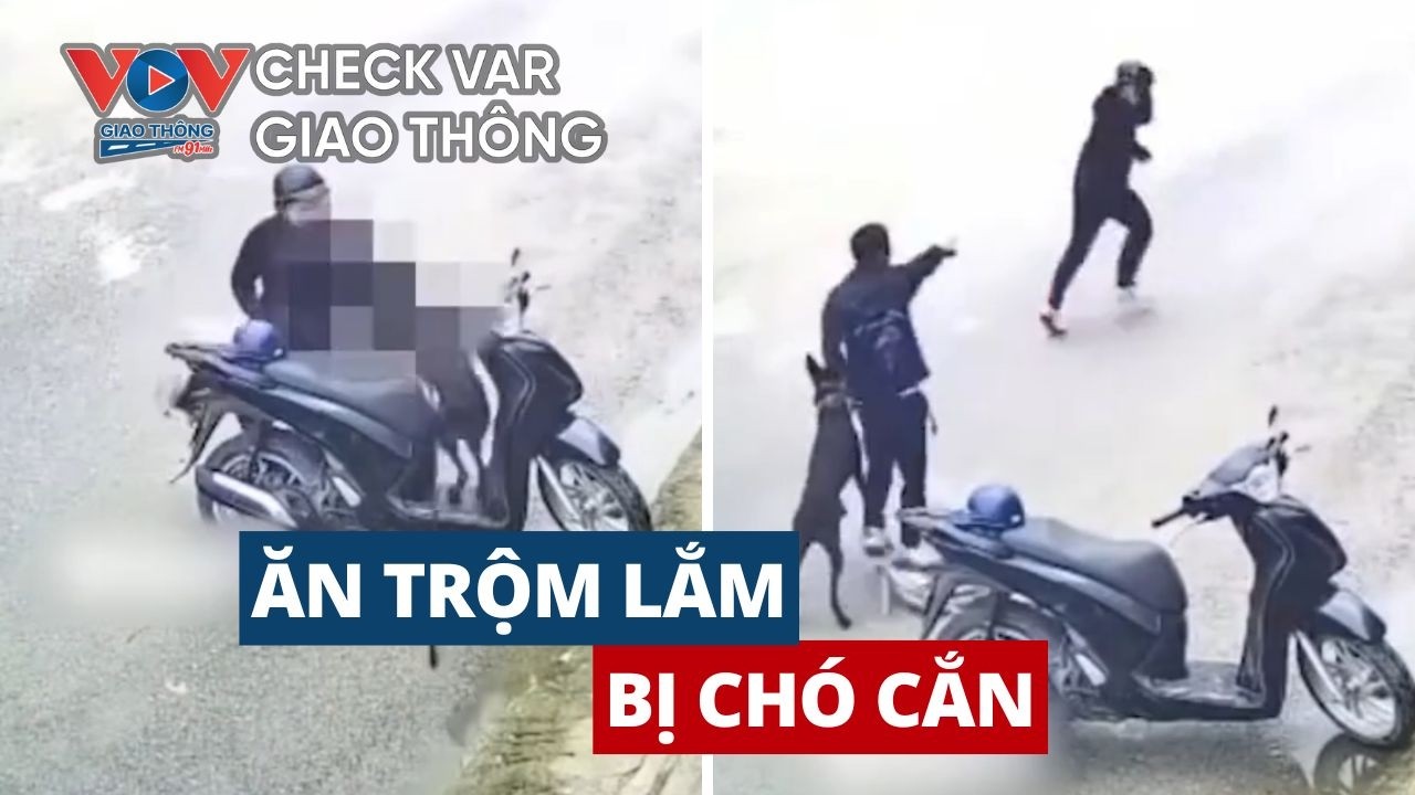Trộm Xe Bất Thành: Khi Kẻ Gian Gặp Hạn  |   CHECK VAR GIAO THÔNG 367  #vovgiaothong #fm91