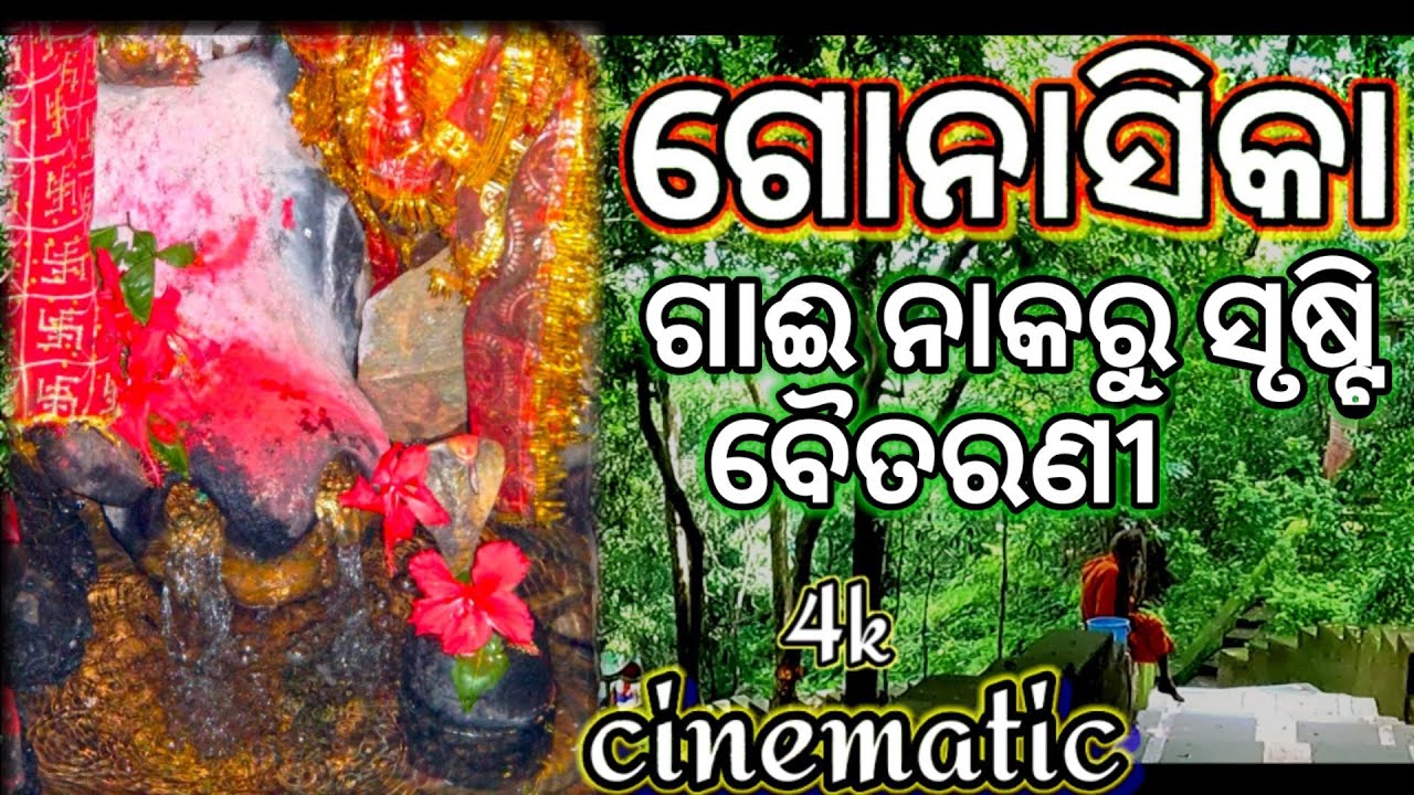 Gonasika Temple ।। kendujhar Gunasika ।। Gupta ganga ।। Origin Of Baitarani ।। Odia volg