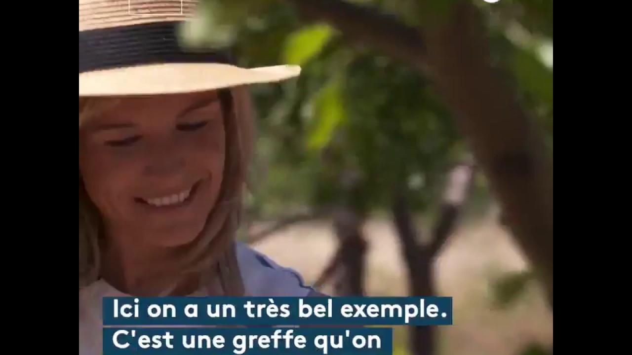 Pourquoi Greffer des Arbres Fuitiers ?