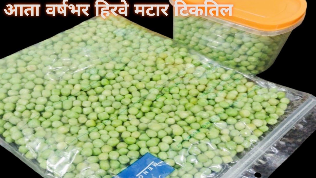स्वस्त दरात मिळणारा हिरवा ताजा मटार हा घरच्याघरी वर्षभर साठवून ठेवता येईल या पध्दतीने| frozen peas|
