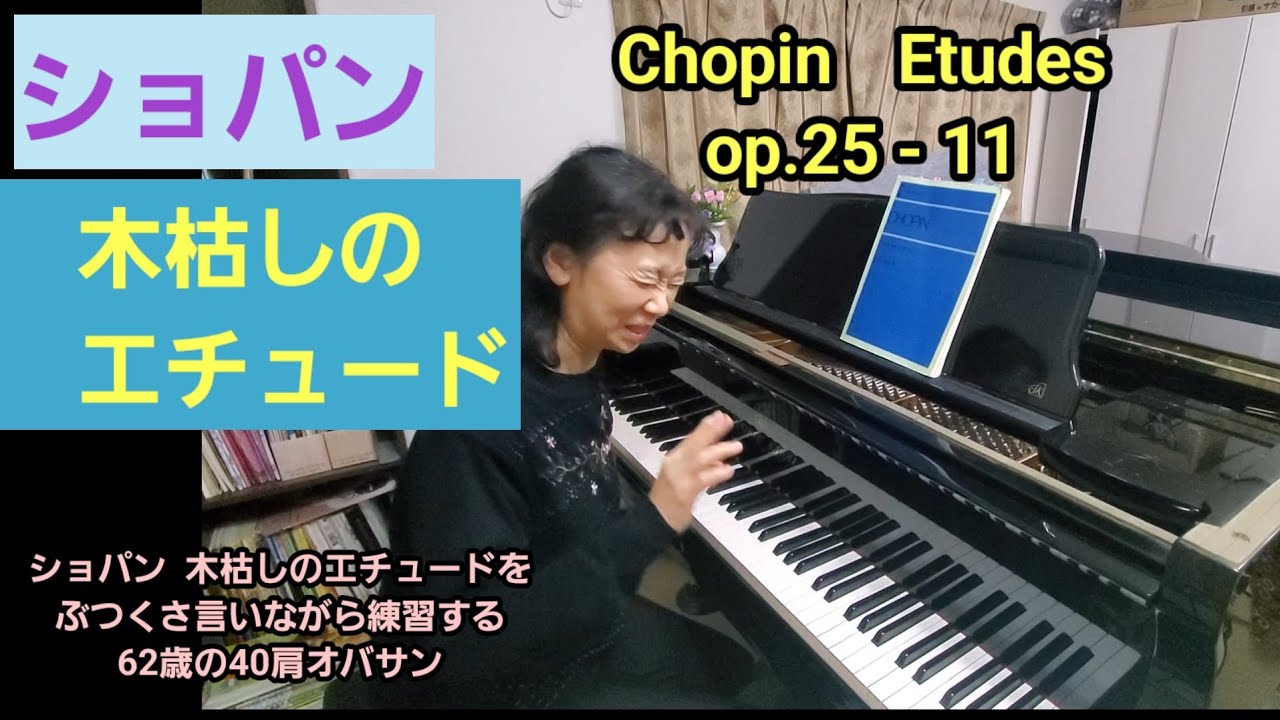 Choin op.25-11  木枯しのエチュード　ちょっと弾きます　ショパン
