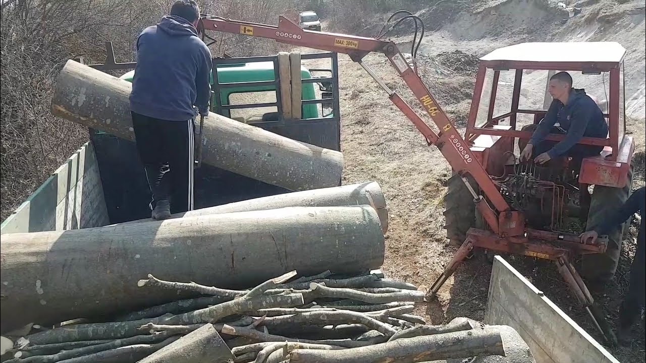 Utovar drva na kamion sa traktorskim grajferom - MF 65 i gramip hu-6c
