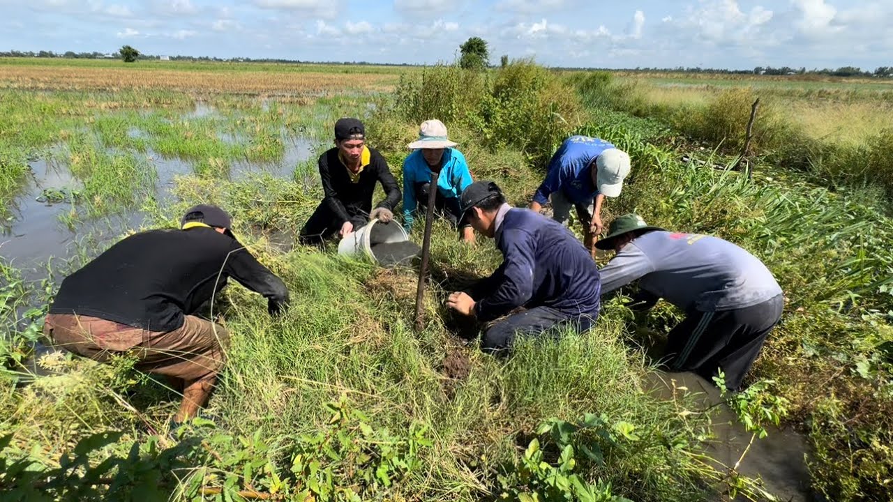 Trúng Lớn- Hơn 30kg Chuột Cho Chuyến Đi Săn Ở Tân Công Sính | hunting | - TT2024