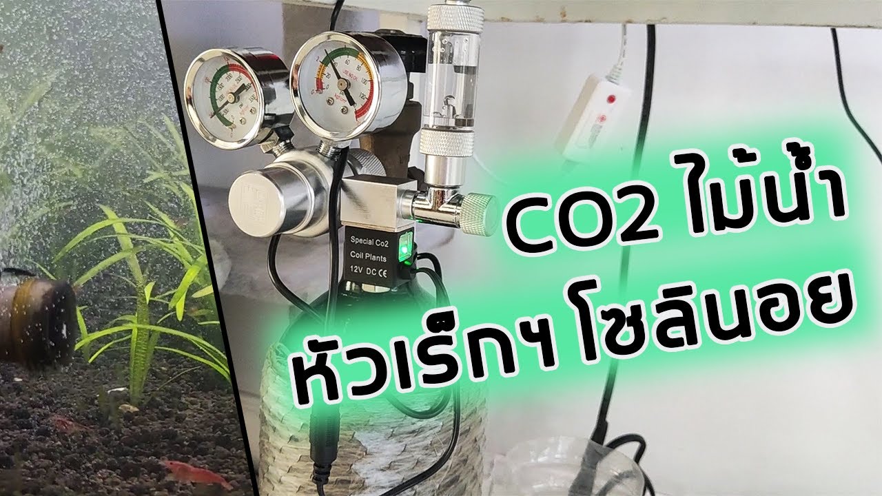 แกะกล่อง [CO2 Regulator] ไม้น้ำ