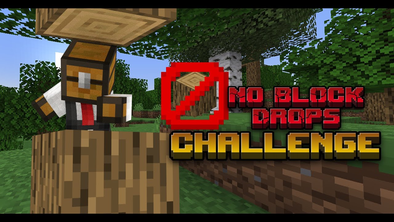 Minecraft 1.20.1 - No Block Drops Challenge