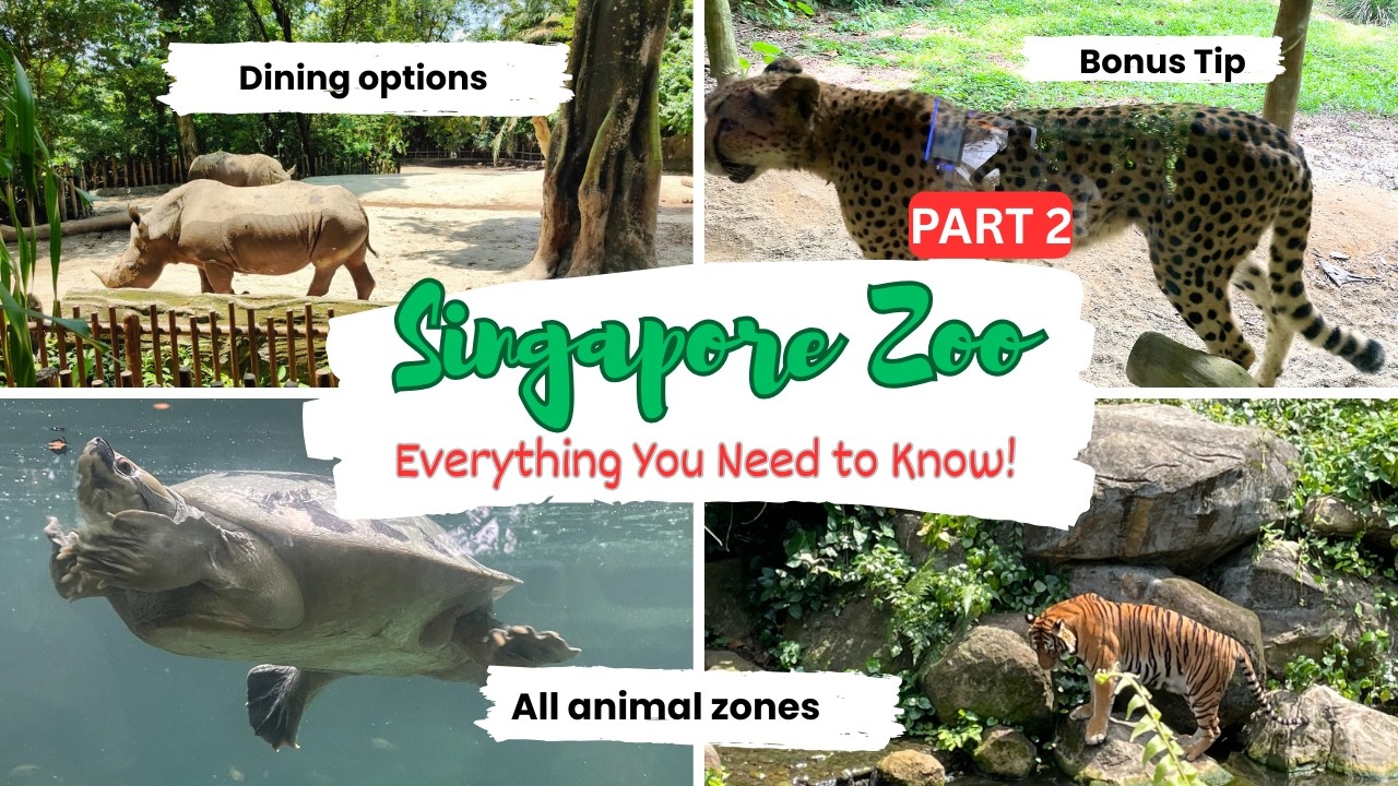 Ultimate Singapore Zoo 2025 Guide [Part 2]: Animal zones | Dining options | Bonus tip
