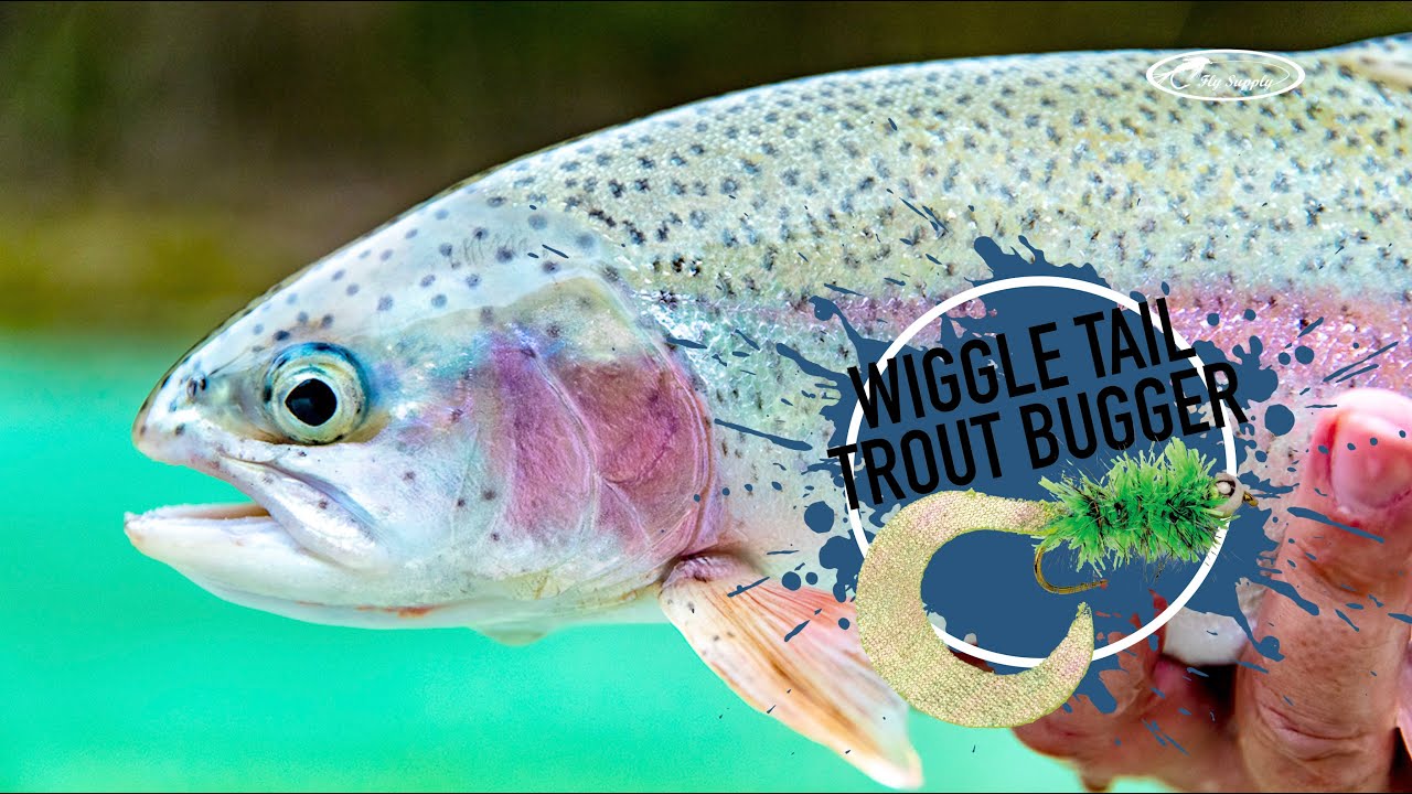 Fly Tying a Wiggle Tail Trout Bugger