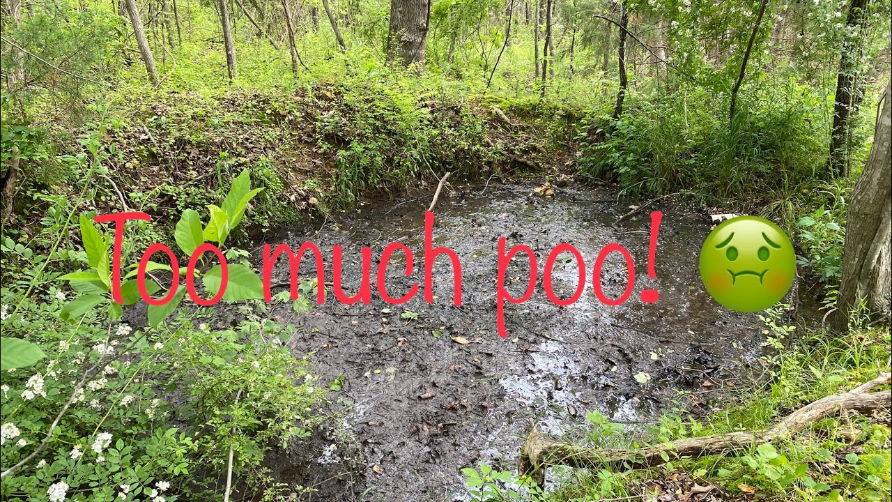 Homestead sewage - expanding the lagoon
