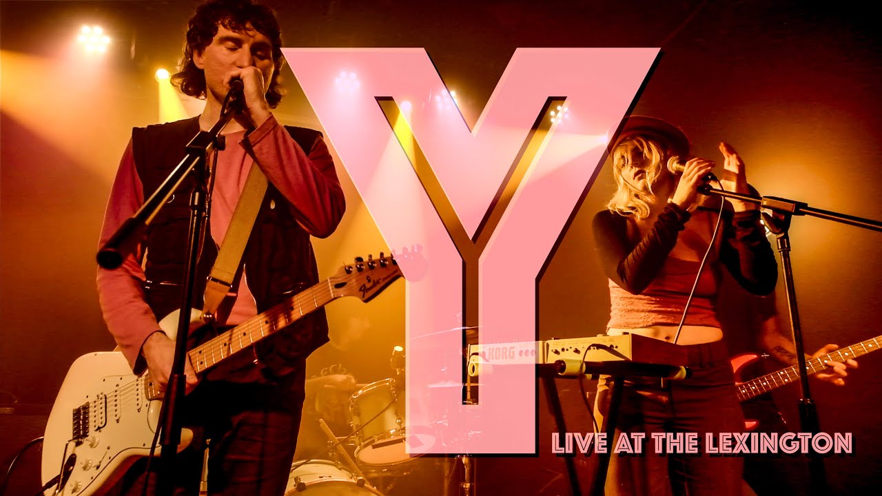 Y Live at The Lexington