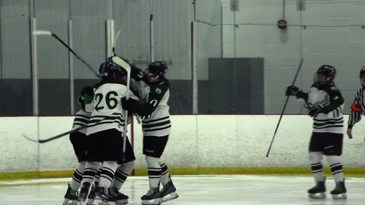 Girls Hockey 2026 vs. Wakefield state tournament highlights