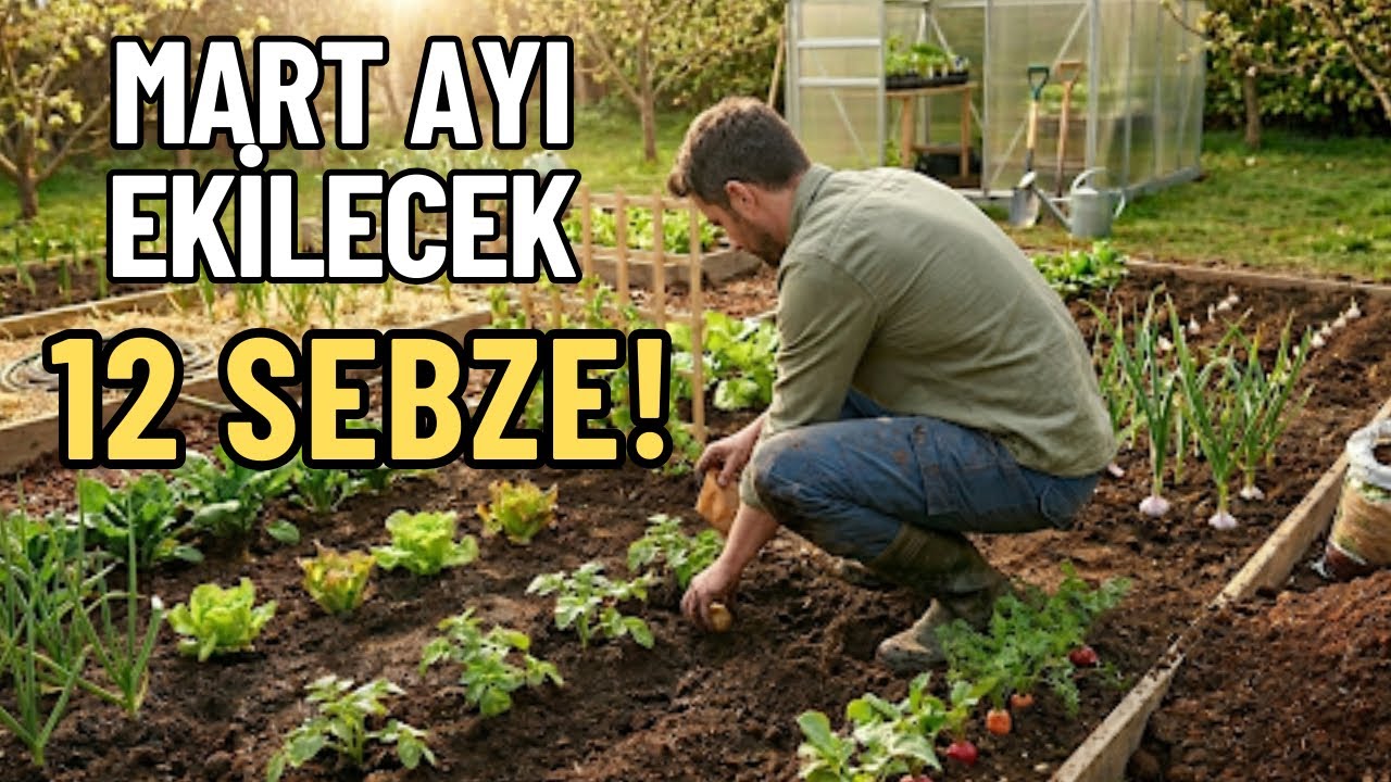 MART AYINDA EKİLECEK SEBZELER NELERDİR?