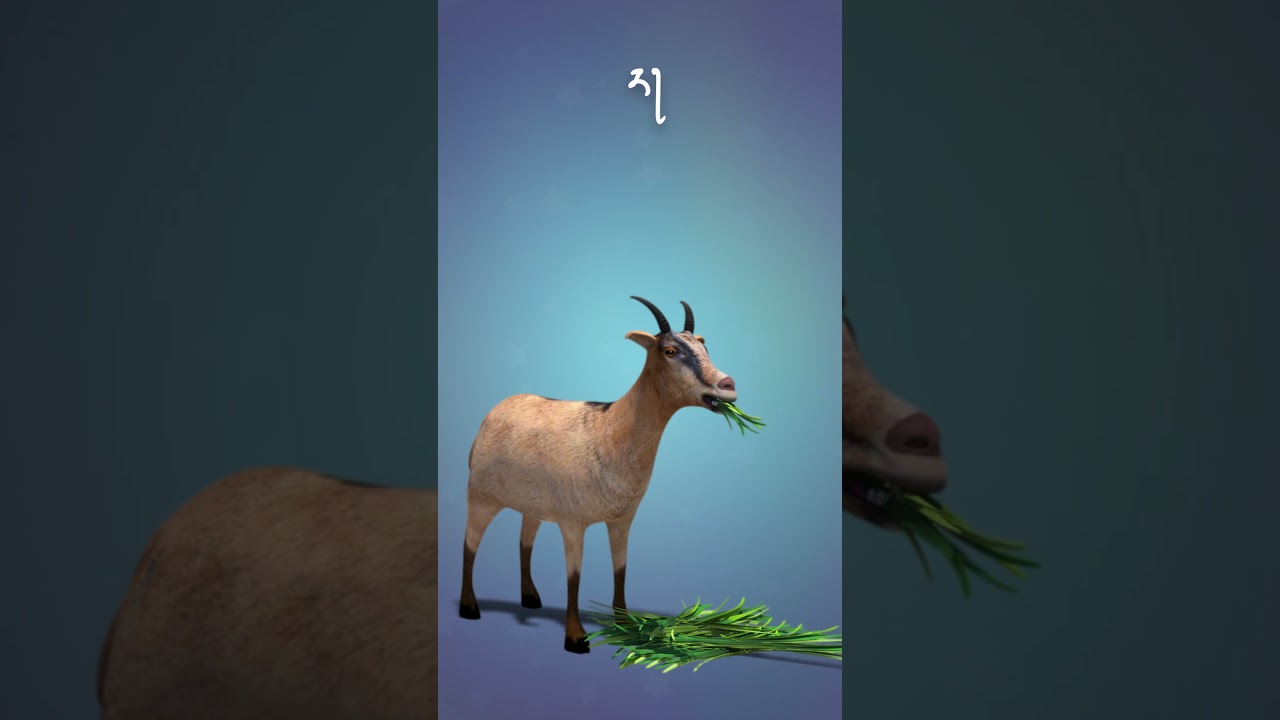 Animal sounds 2 སེམས་ཅན་གྱི་སྐད་༢་པ།