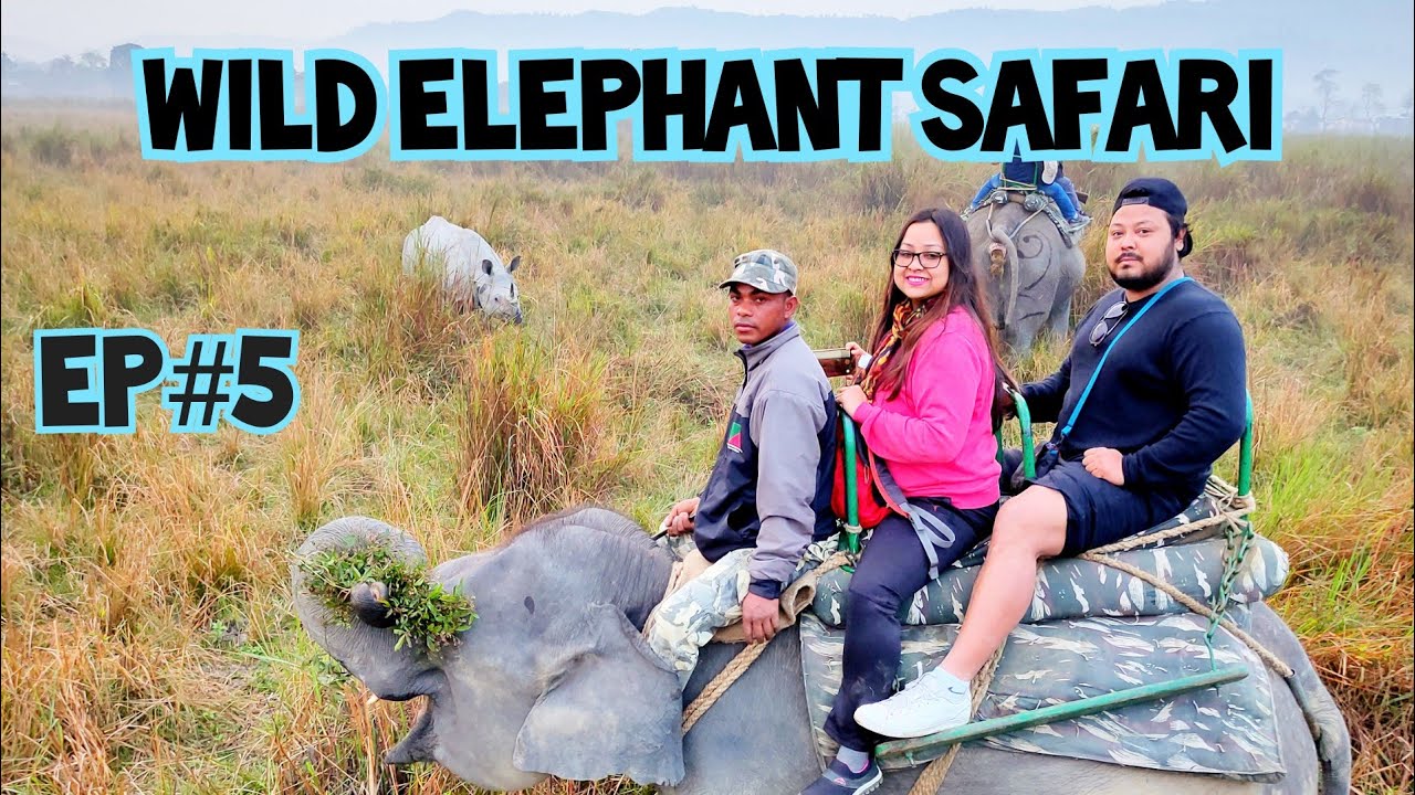 Elephant Safari | Interview with the head Mahout at Kaziranga National Park, Assam, India | Ep.5