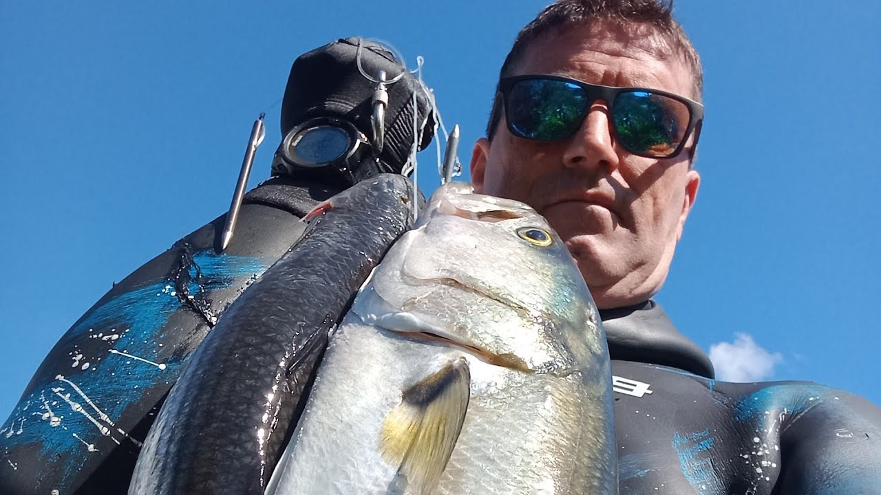 PESCA SUB SARDEGNA: TANTO PESCE CON SCADUTA DI LIBECCIO ....