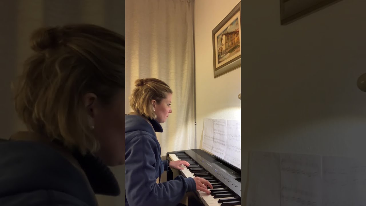 J. Pachelbel Canon in d major