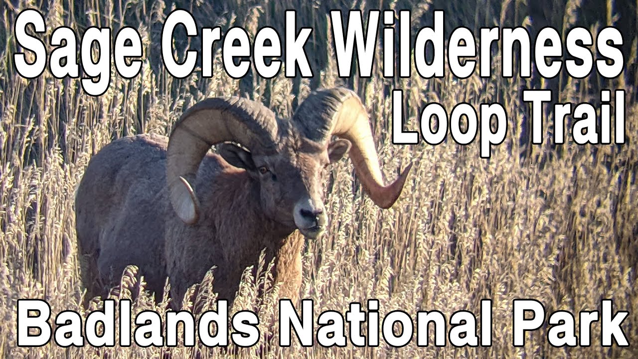 Sage Creek Trail Hike