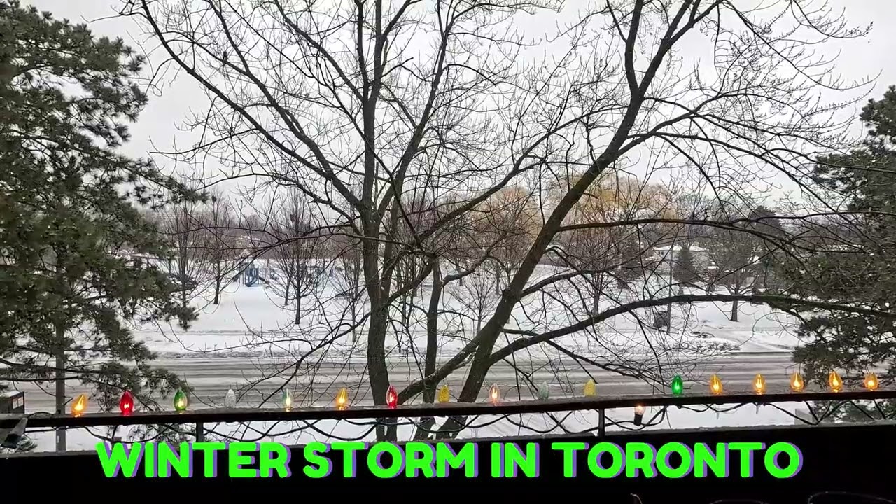 Winter storm in Greater Toronto area in Canada || ollenwhite