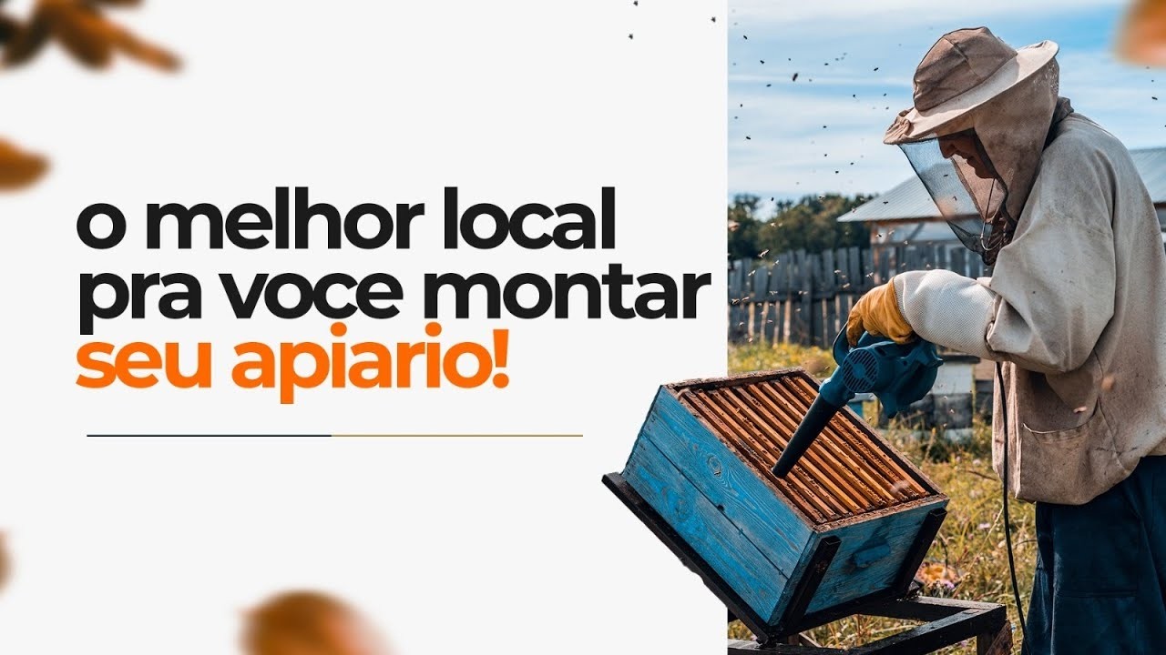 COMO MONTAR UM API&Aacute;RIO PARA PRODUZIR O SEU MEL