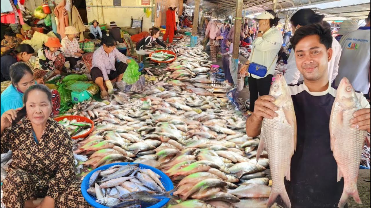 ផ្សារពន្លៃ ថ្ងៃនេះត្រីសំបូរគ្រប់តូប ភាគច្រើនត្រីឆ្កោក 29/01/26 || TAT SOKKΕΑ - ΚΗ [Ep. 1143]