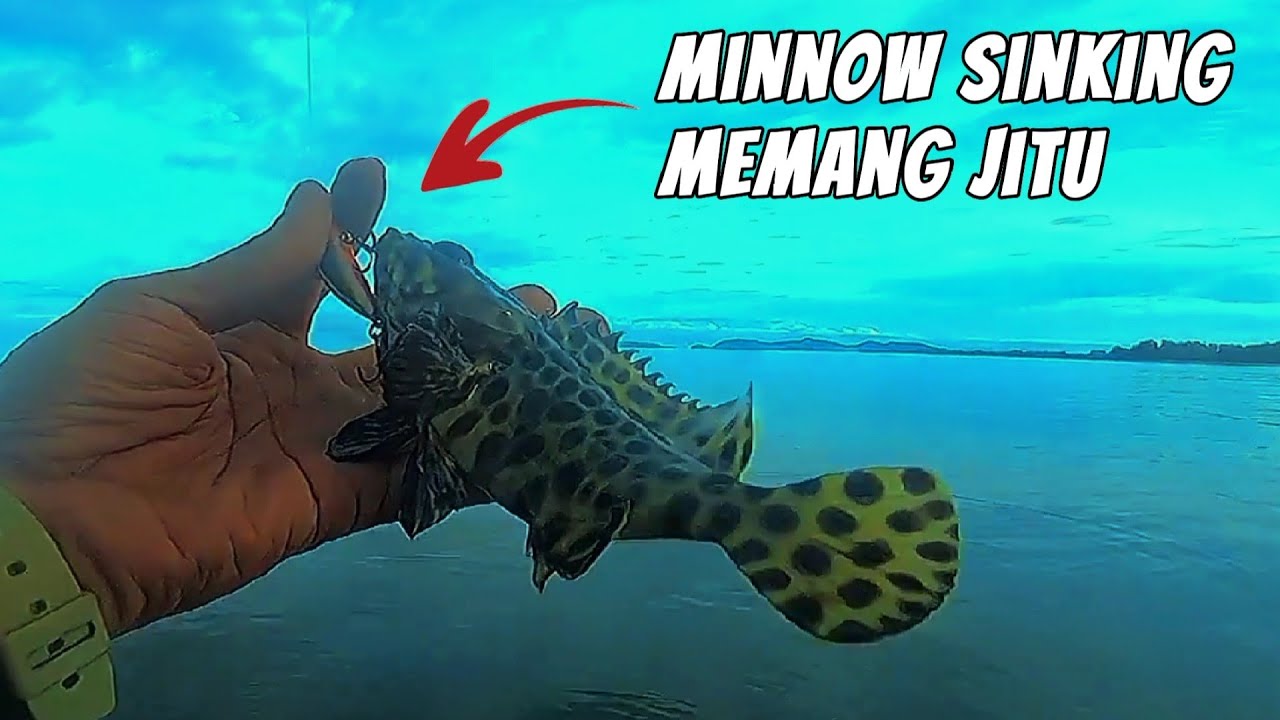Mancing Casting Kerapu Di Pantai Karang Dangkal | Minnow Sinking | UL Fishing Pinggiran