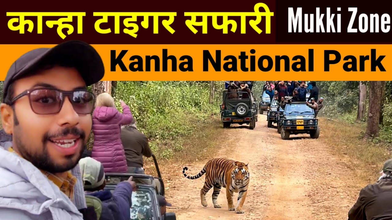Kanha National Park | Mukki Zone | Jungle safari | Kanha Tiger Reserve | Kanha Wildlife sanctuary