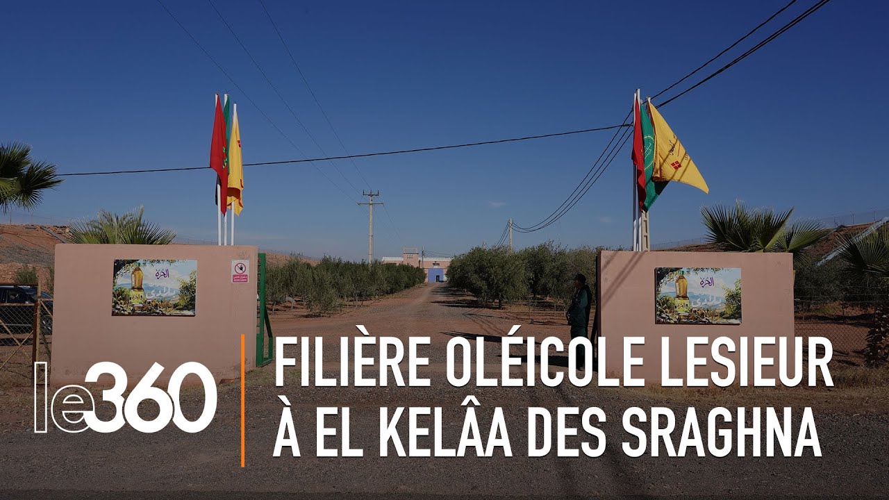 Comment Lesieur Cristal valorise son amont ol&eacute;icole de la province d&rsquo;El Kel&acirc;a des Sraghna