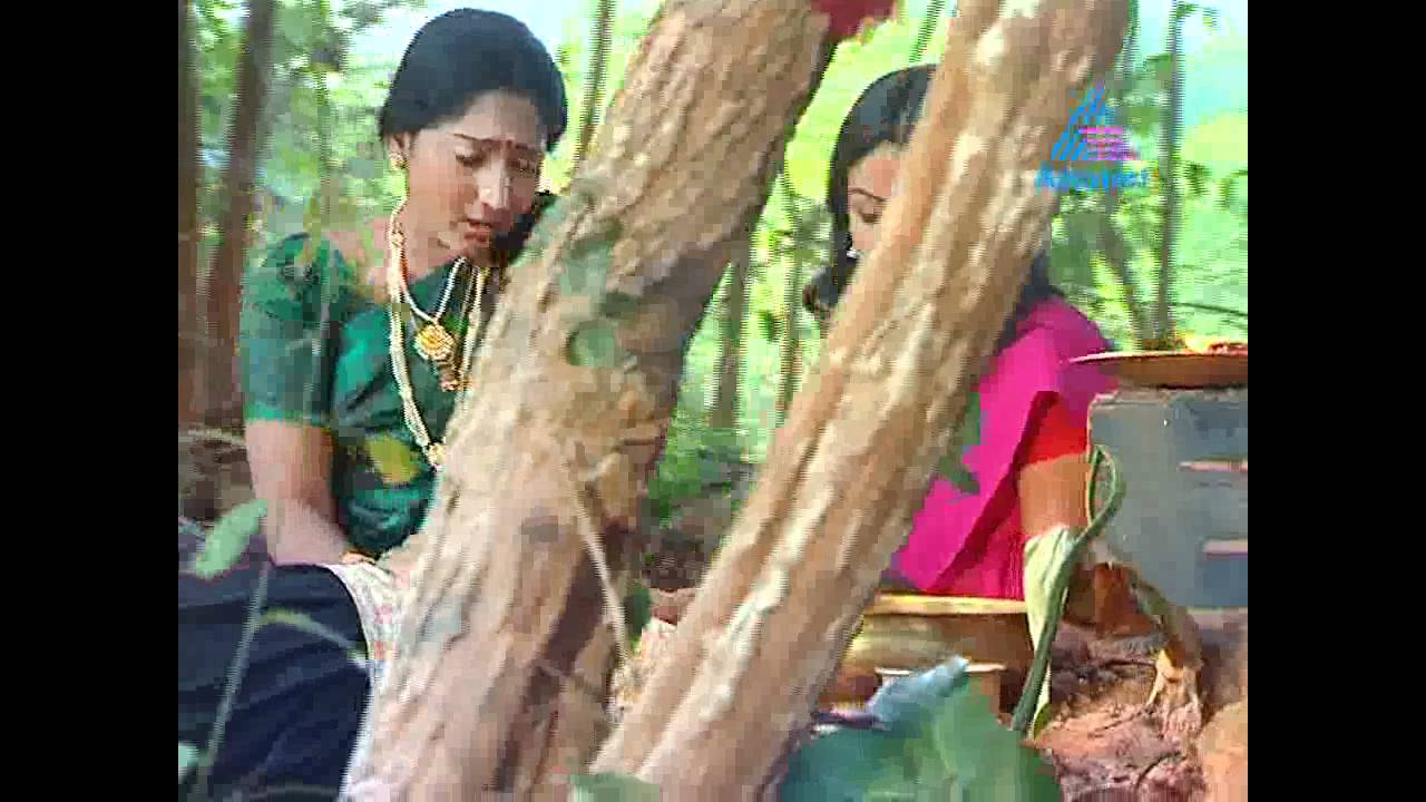 Devi Mahathmyam - DEVI MAHATHMYAM 01-03-12.