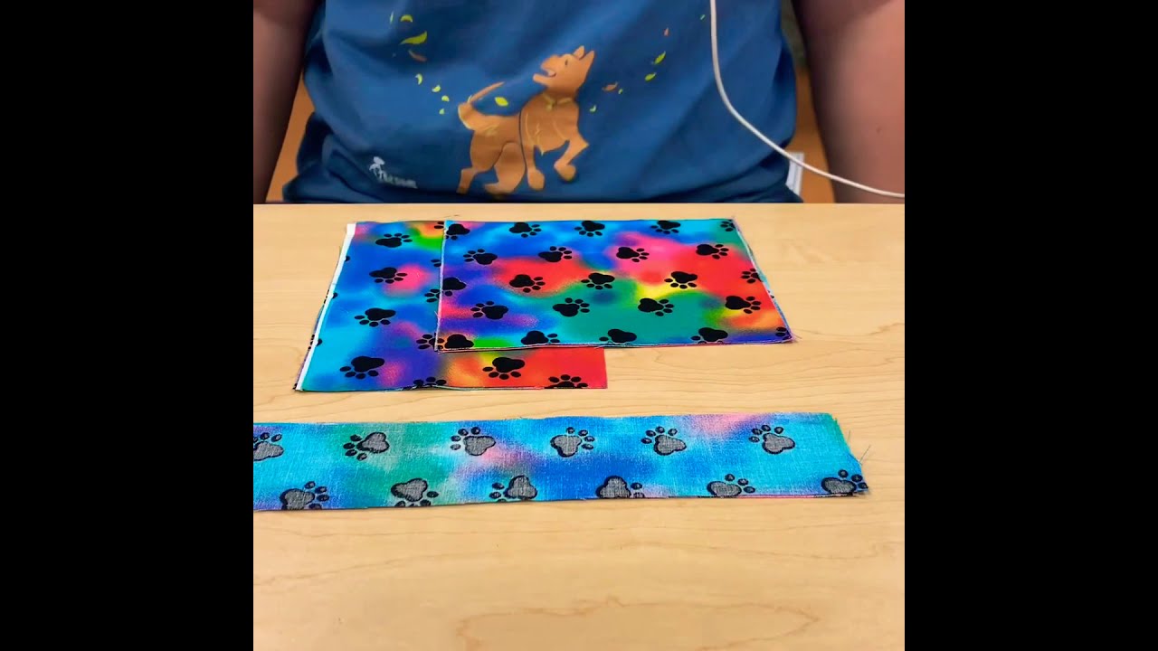 Dog Treat Bag DIY