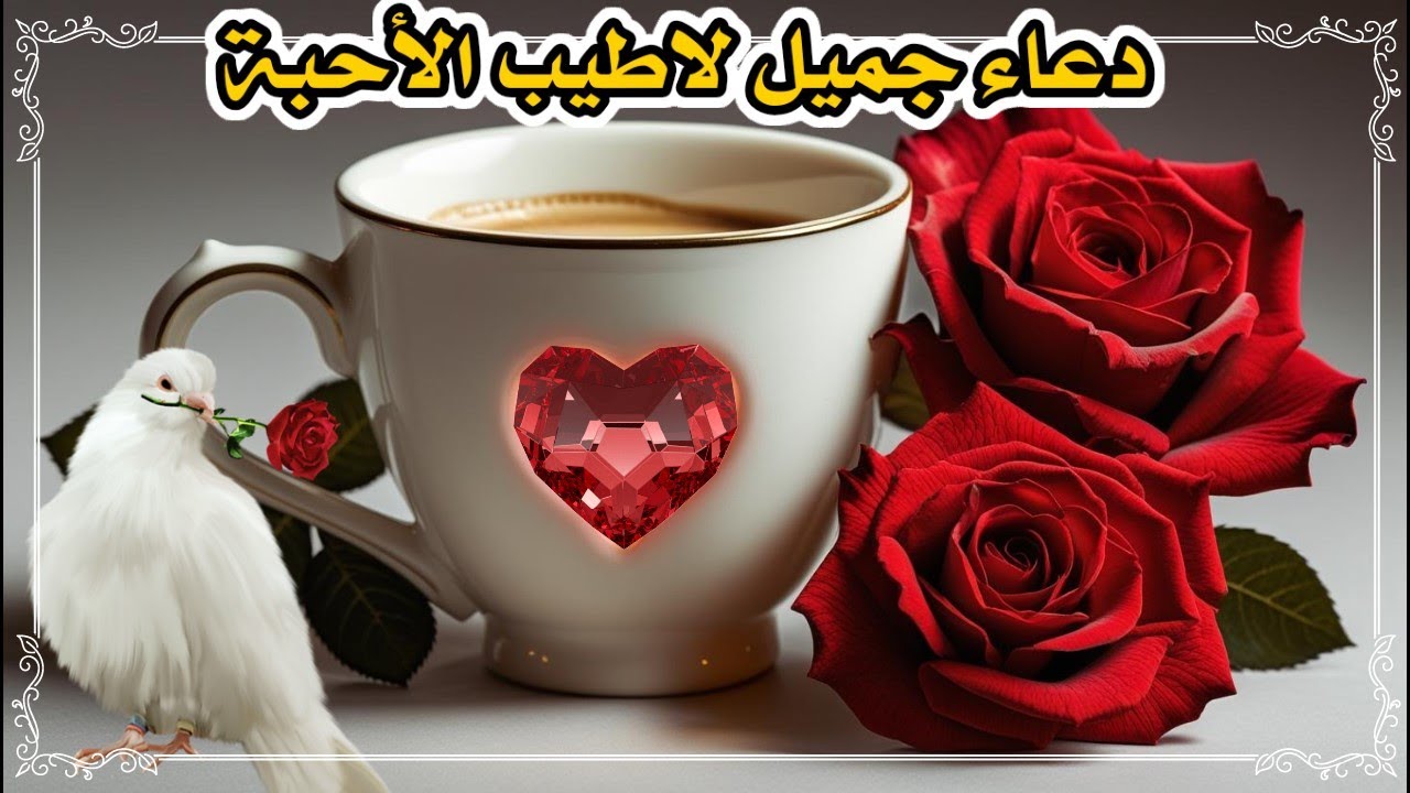 اللهم لا تعذبنا بمرض ولا تشقينا بولد ولا تسلط علينا احد ونجنا من شر النفاثات في العقد ♥دعاء جميل♥