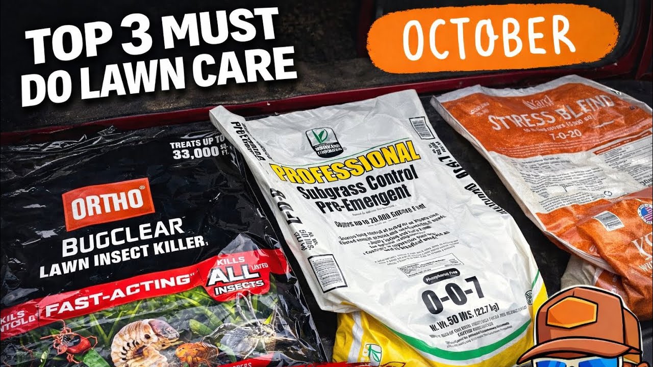 . «Большинство домовладельцев не заботятся об уходе за газоном осенью — вот ПРАВИЛЬНЫЙ способ ухо...