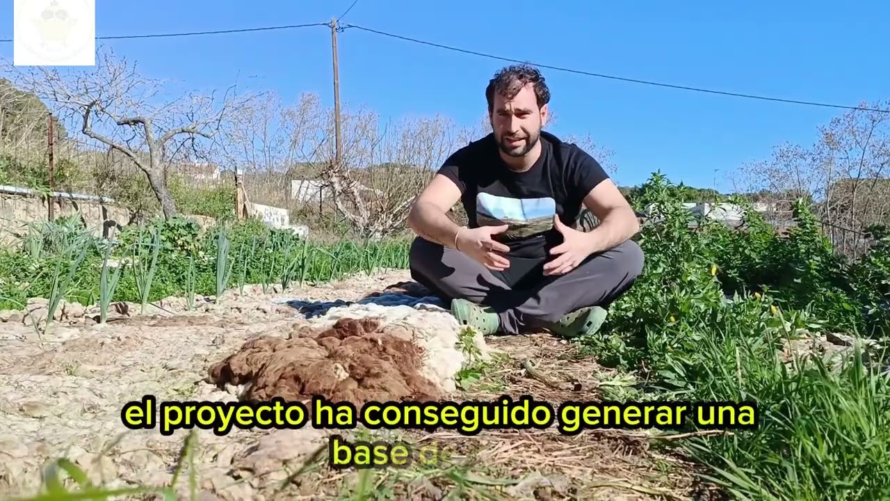 4 años de innovación agrícola con lana de oveja🐑​🌱​🐑​