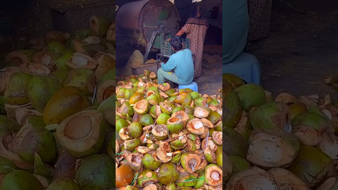 Cocopeat making in factory