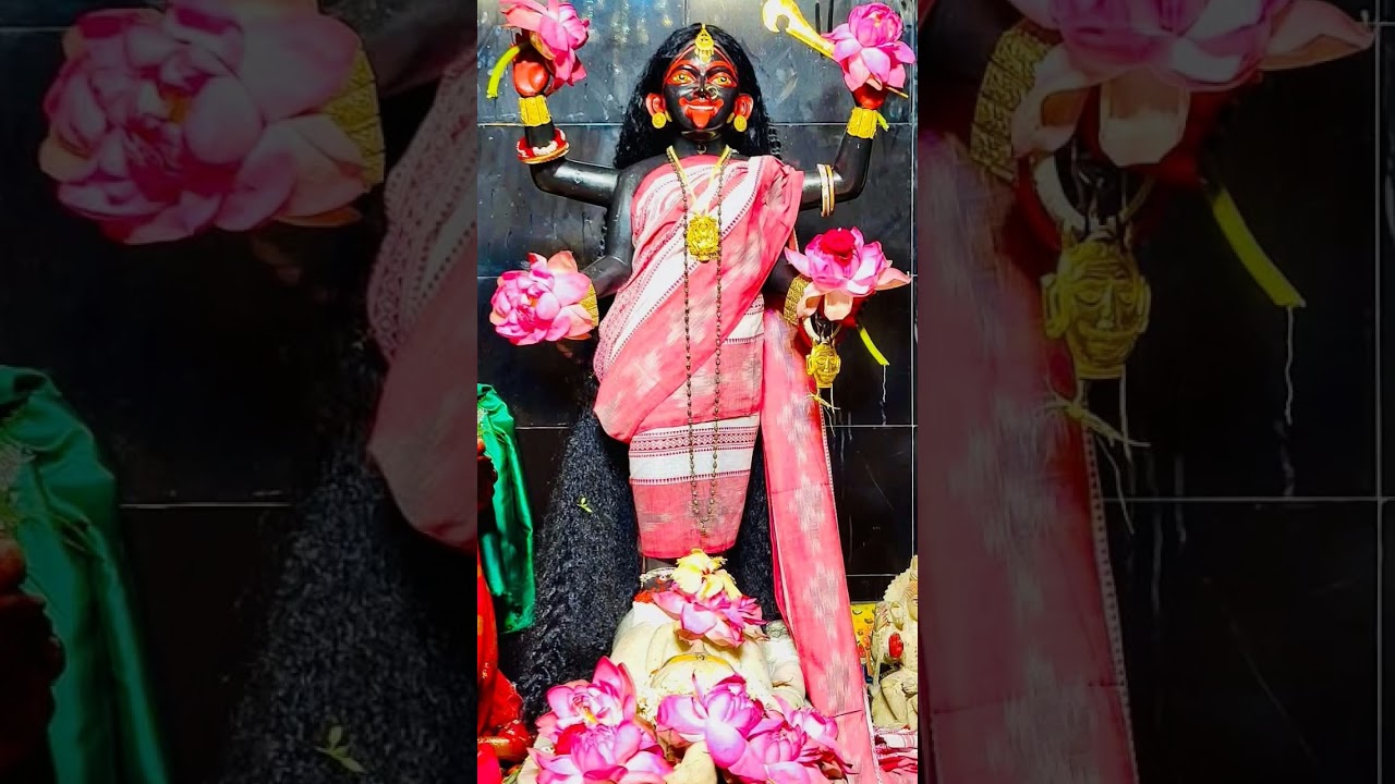 কলকাতার জীবন্ত কালী শ্যামসুন্দরী 🌺♥️