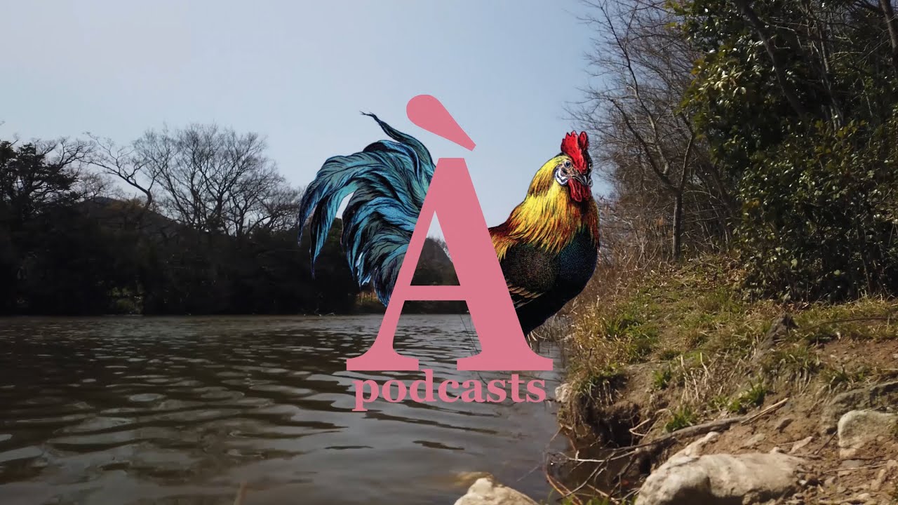 Radio Qu'est-ce que c'est (Podcast d&eacute;butant) - Avec Julien #2: Vieillevigne (RQC051)
