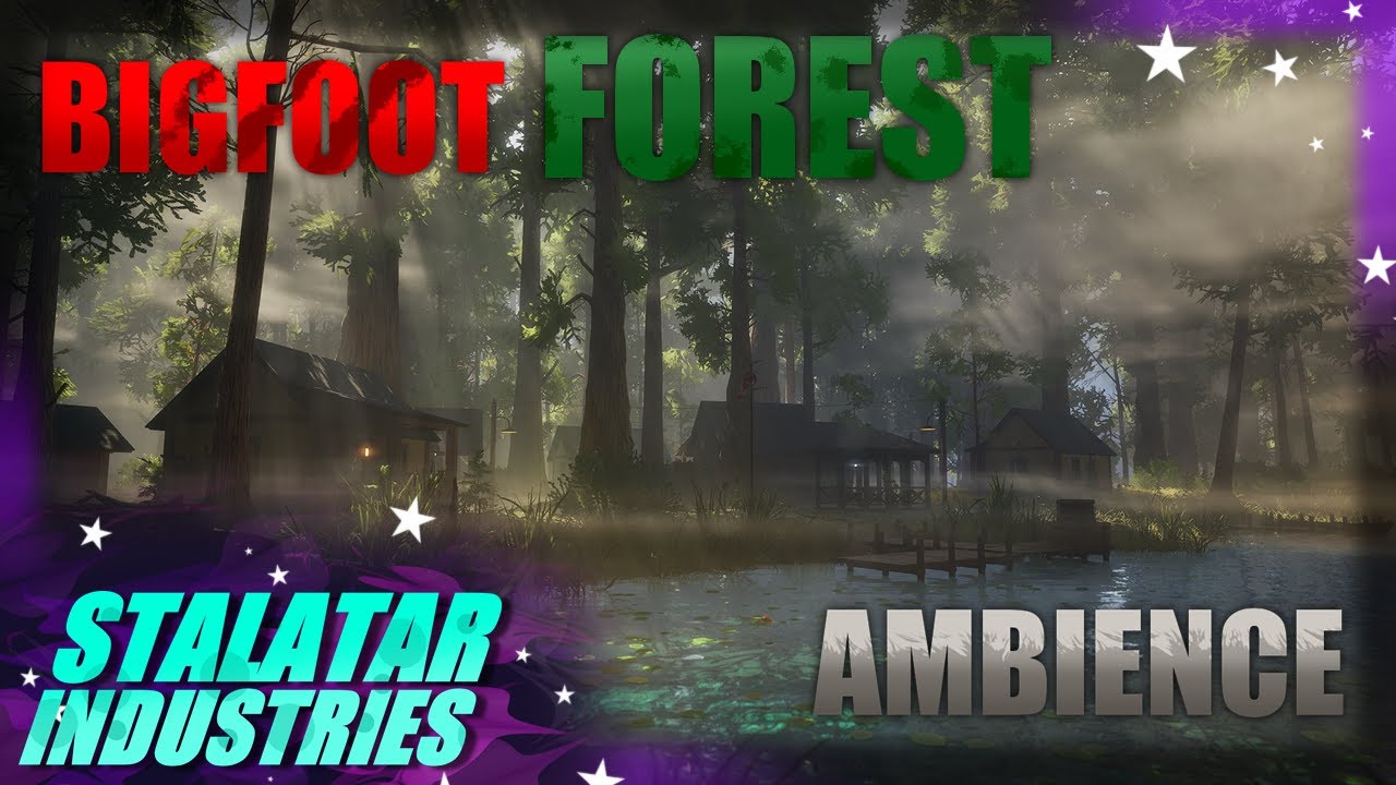 Bigfoot Forest Ambience Night