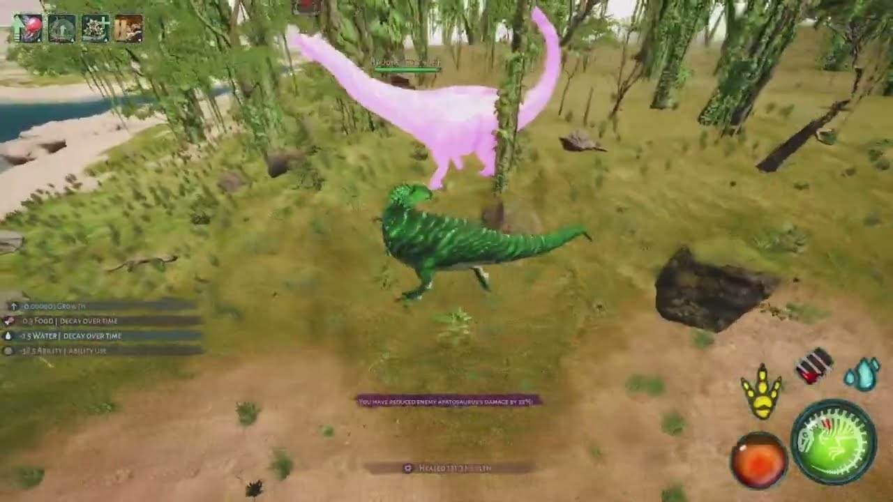 Beast of Bermuda Acro comp! #2
