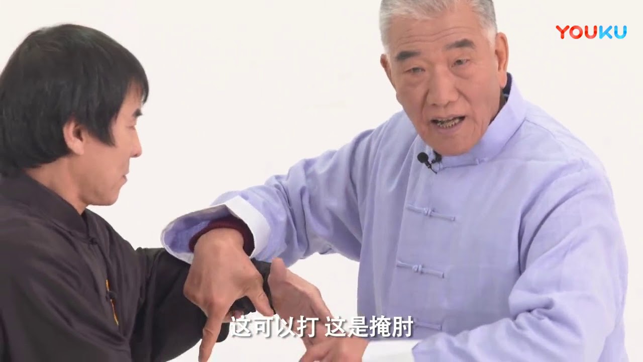Cheng Style Bagua routine and technical application (Liu Jing Ru)