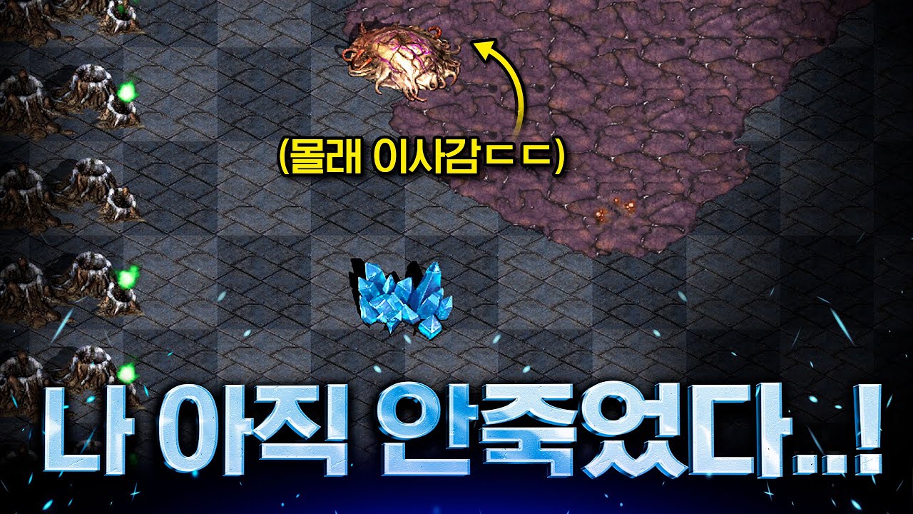 38분동안 뚜드려맞고 몰래 살아남은 인피쉰ㅋㅋ 남은건 해처리 1개뿐 [ 스타, 빨무 ]