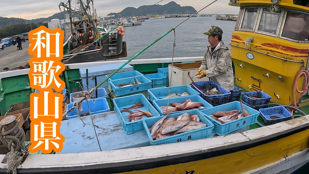 箕島漁港で泣くほど笑ったわ‼️漁船の値段はいくらするの？色々語りました‼️