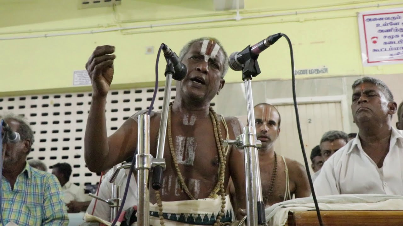 yetula pogadinaro