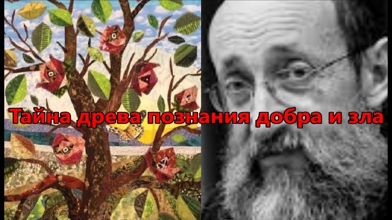 Тайна древа познания добра и зла. Анатомия человеческой души 2. Раввин Ашер Кушнир