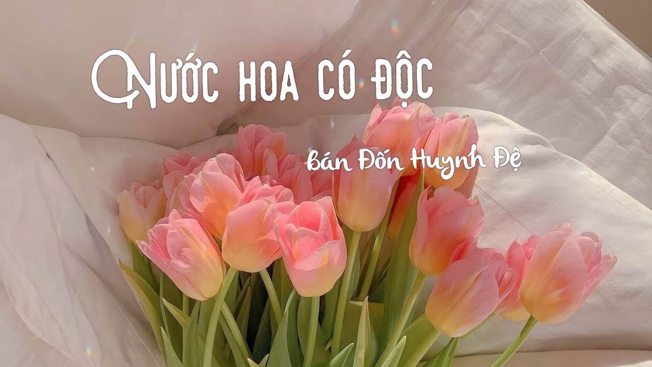 (Vietsub + Pinyin) Nước hoa có độc - Cover: Bán Đốn Huynh Đệ/ 香水有毒 - 半噸兄弟