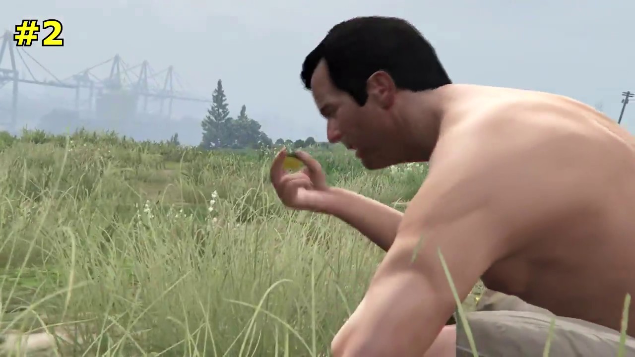 GTA 5 - 27 pejotli / 27 peyote plants
