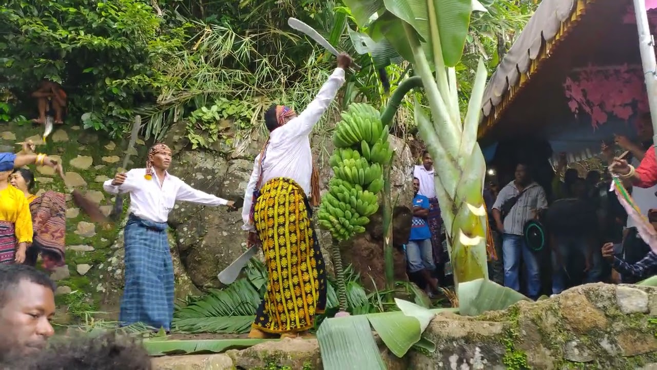 TARIAN ADAT SIKKA MAUMERE