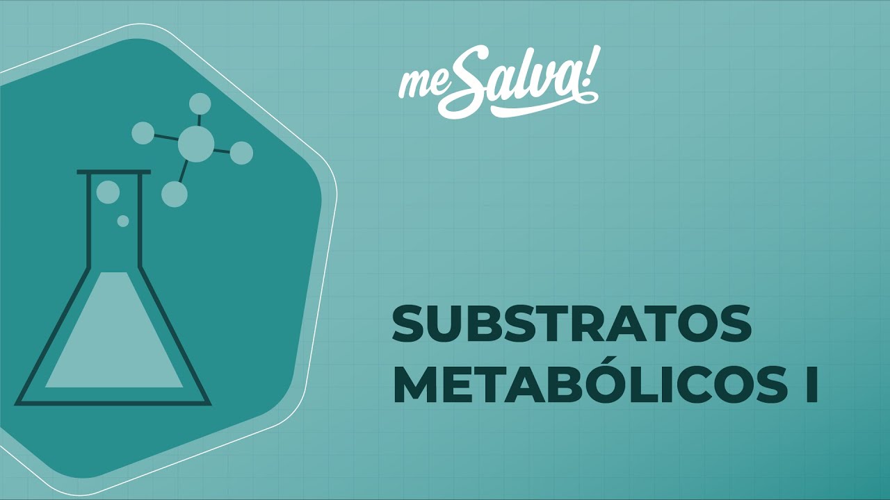 Substratos metabólicos - Bioquímica - Me Salva! Saúde