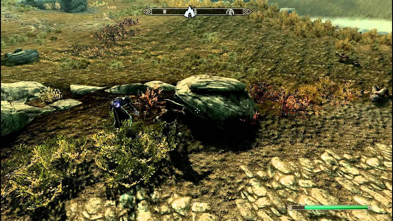Aranea vs Ahtar