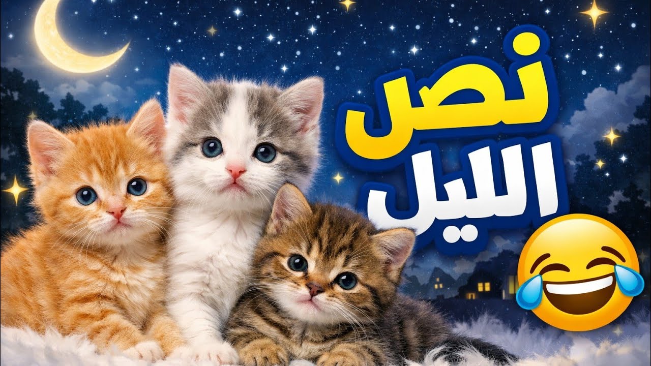 شقاوة و طعامة نص الليل ❤️❤️❤️